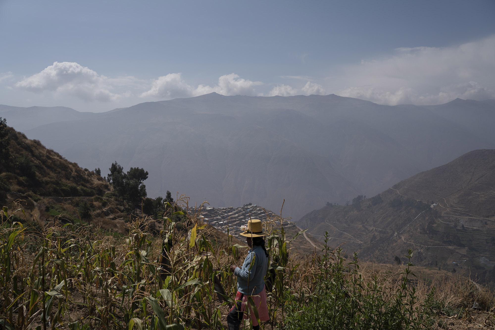 Amunas (on going) - “Our ancestors mastered these techniques to take...